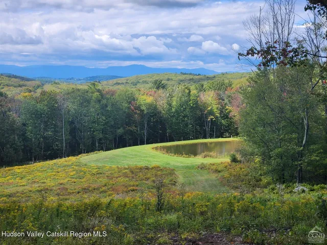 a view of snow and yard