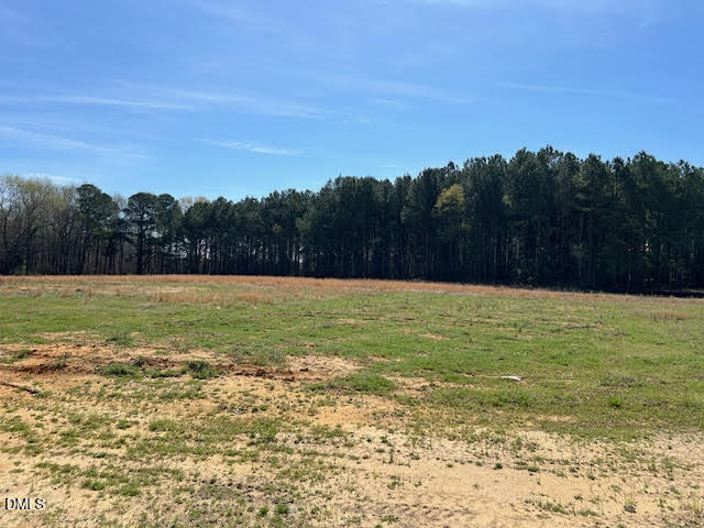 181 Big Pine Road Clayton, NC 27520 - Photo 14 of 14 3BP13