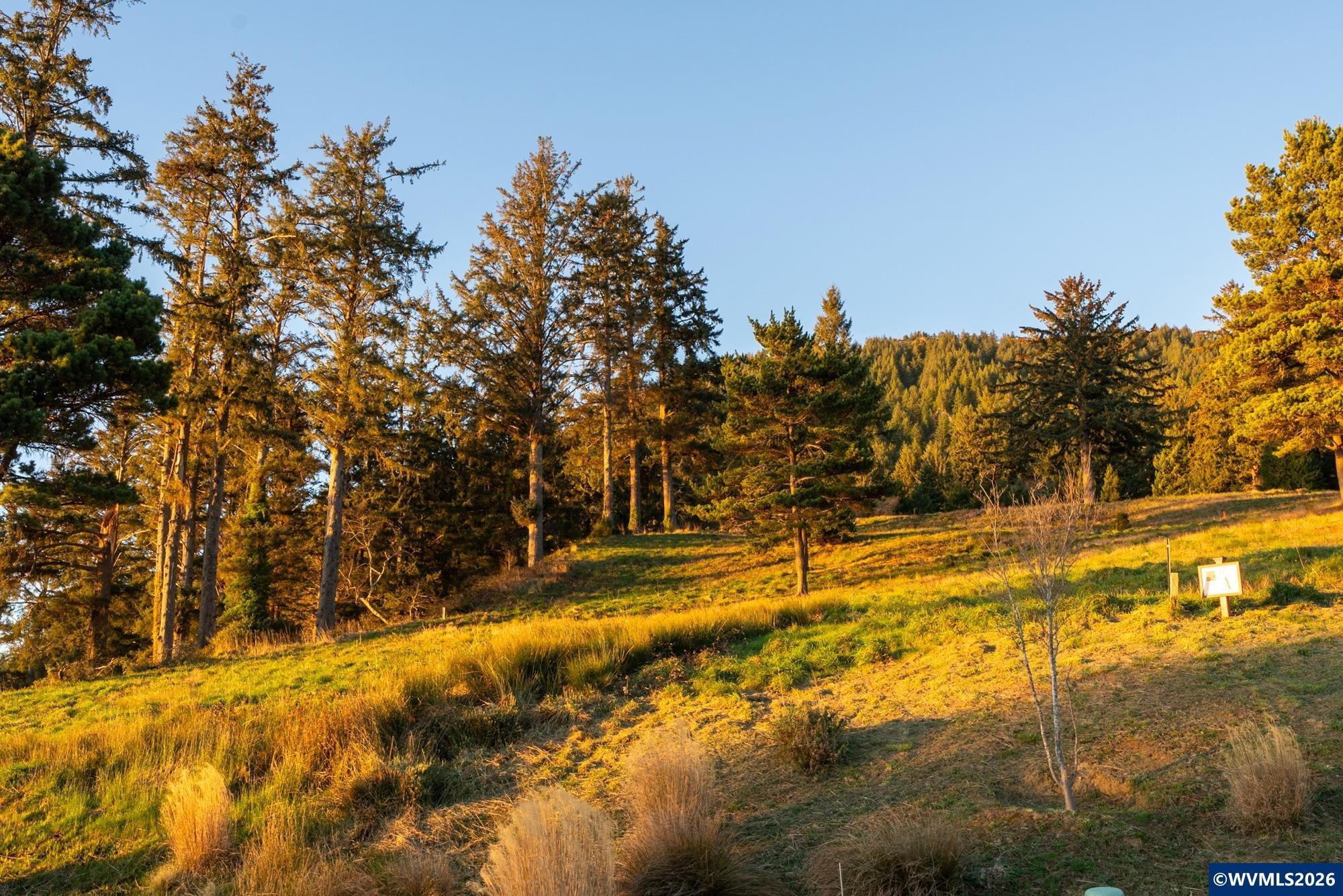 0 Vantage Road Nehalem, OR 97131 - Photo 12 of 15