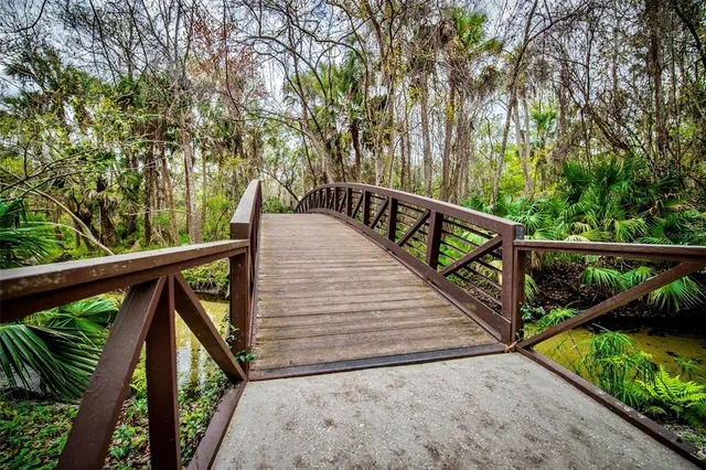 a aerial view of a swimming pool