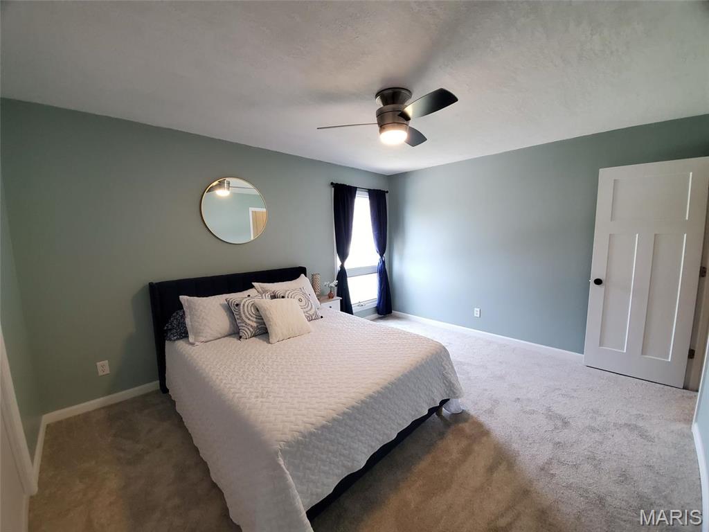 3 Jan Mar Drive Canton, MO 63435 - Photo 60 of 86