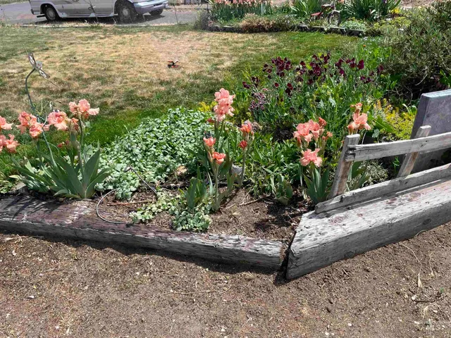 $330,000 | 4343 North 1200 East, Buhl, ID 83316