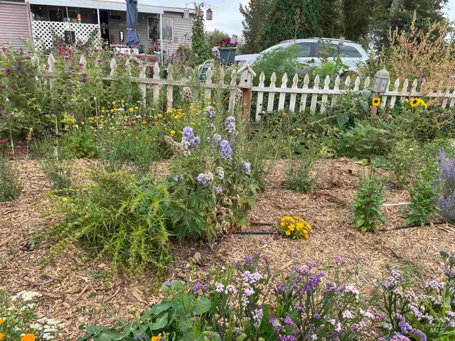 $330,000 | 4343 North 1200 East, Buhl, ID 83316