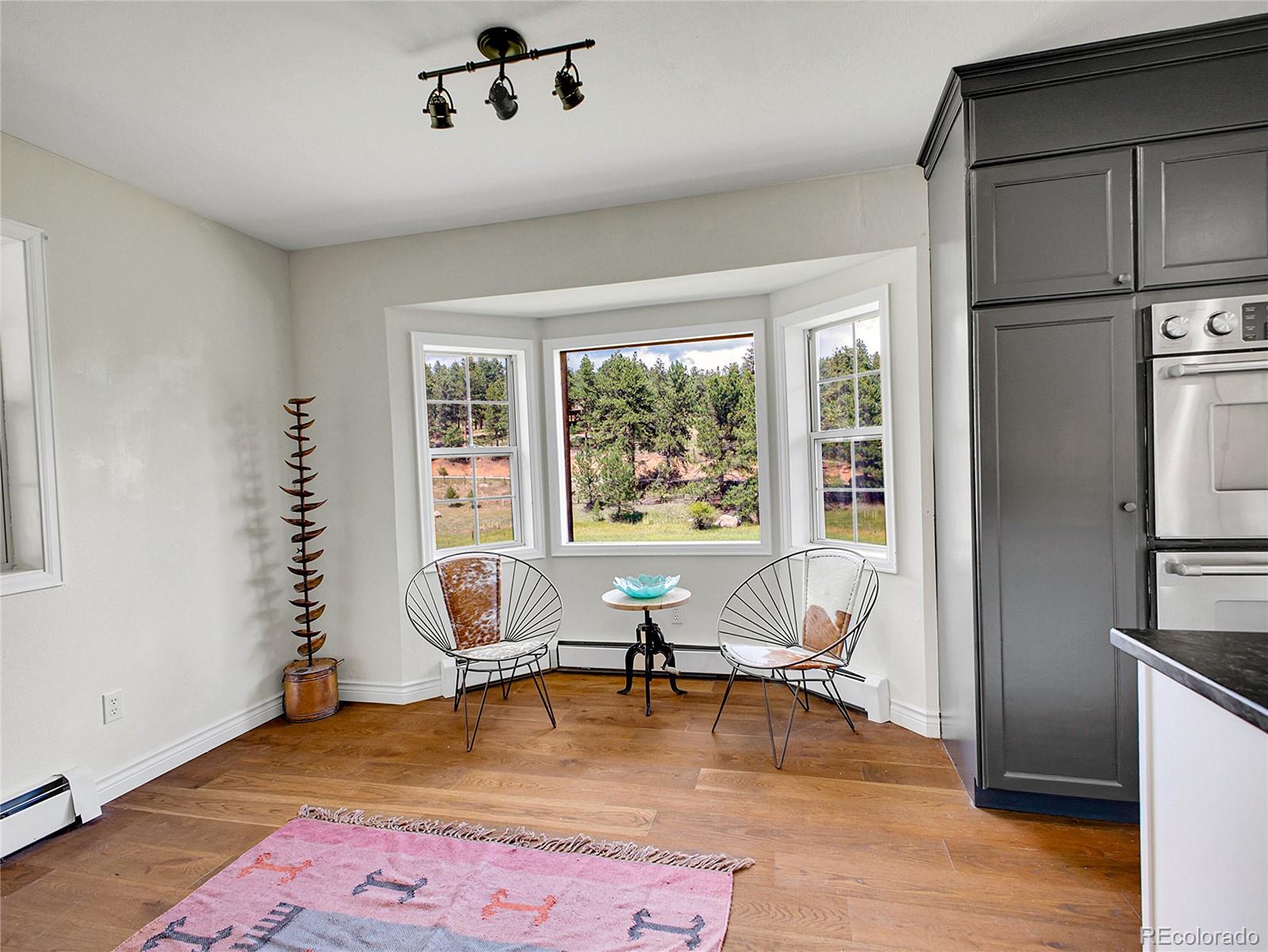 2635 Nova Road Pine, CO 80470 - Photo 18 of 45 a living room with furniture floor to ceiling window and wooden floor