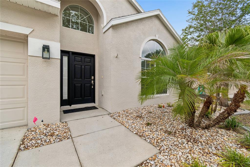 12155 Infinity Drive New Port Richey, FL 34654 - Photo 6 of 75