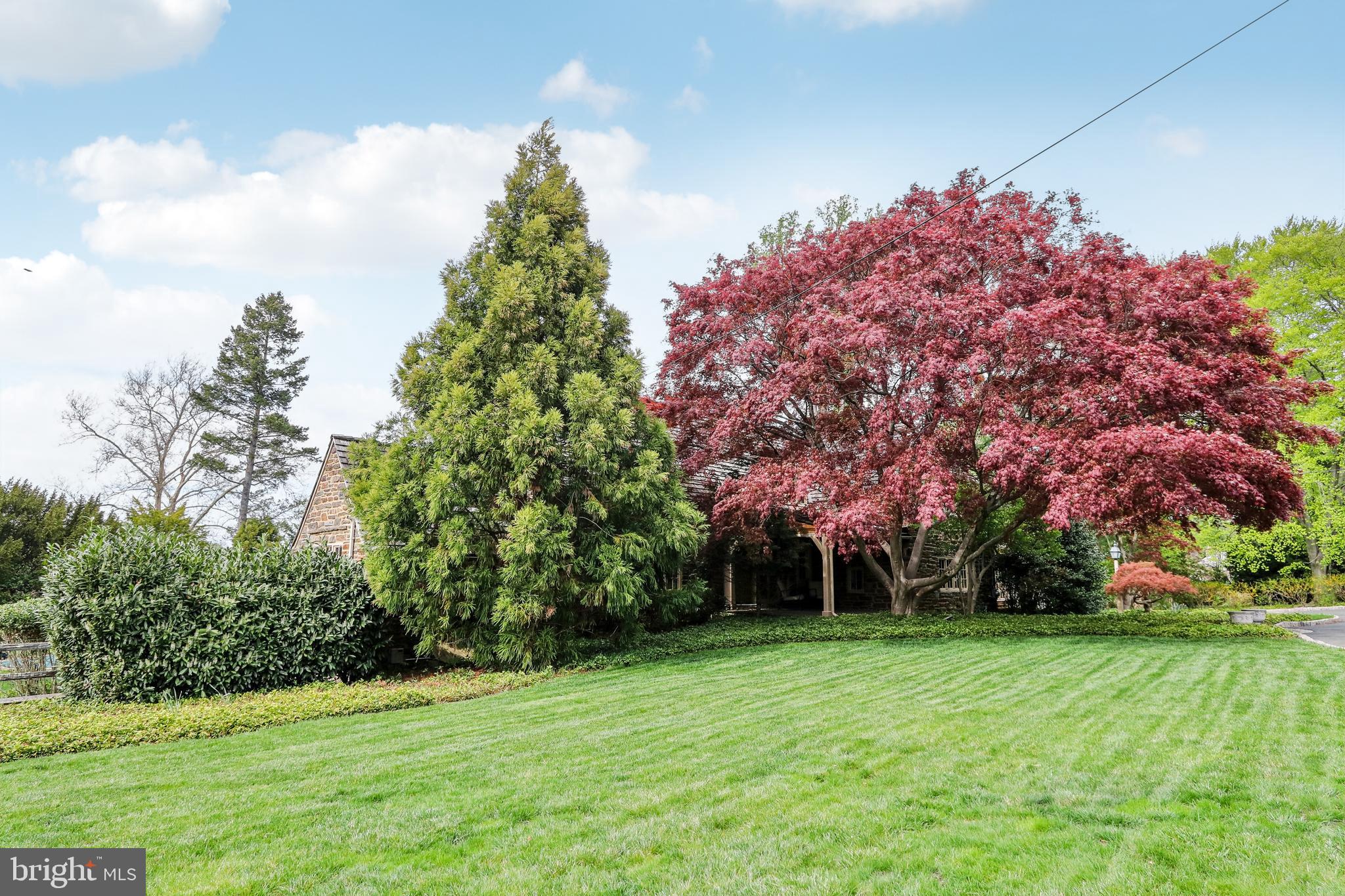1536 Warner Road Jenkintown, PA 19046 - Photo 65 of 83 mature well-tended gardens and shrubs
