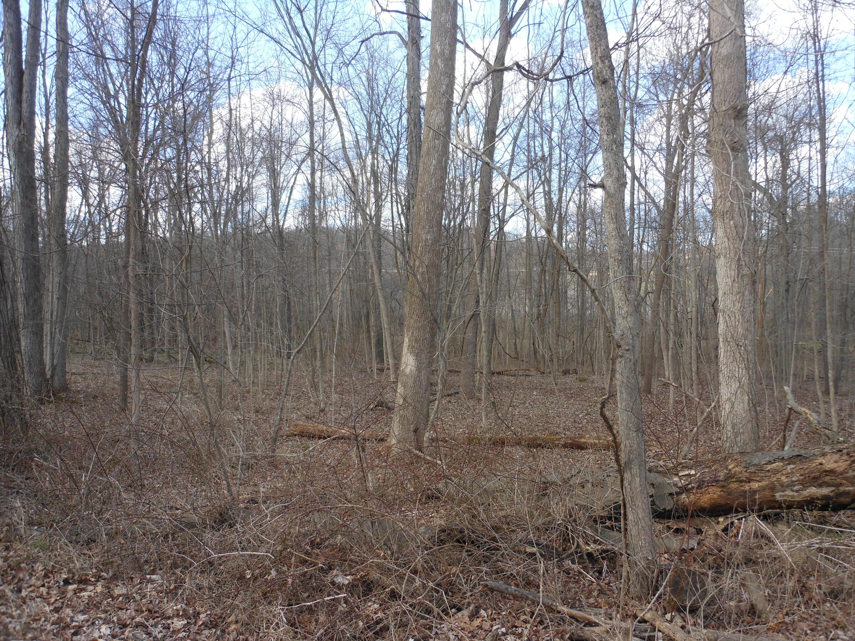 1 McKenzie Road Mount Vernon, OH 43050 - Photo 1 of 3
