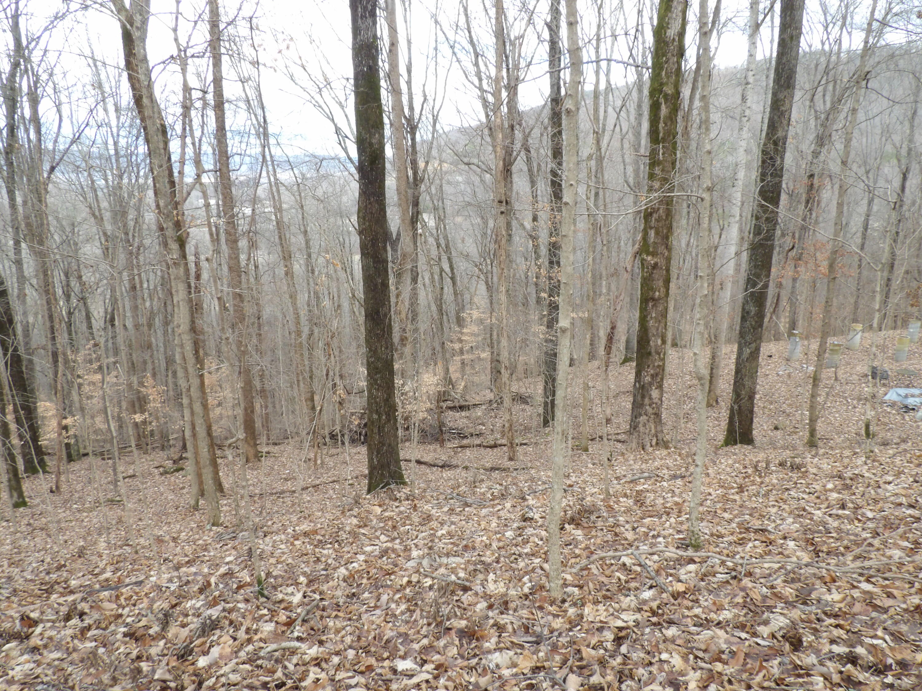 76 Fox Ridge Road, Unit 76 Crossville, TN 38572 - Photo 8 of 13 100_5157