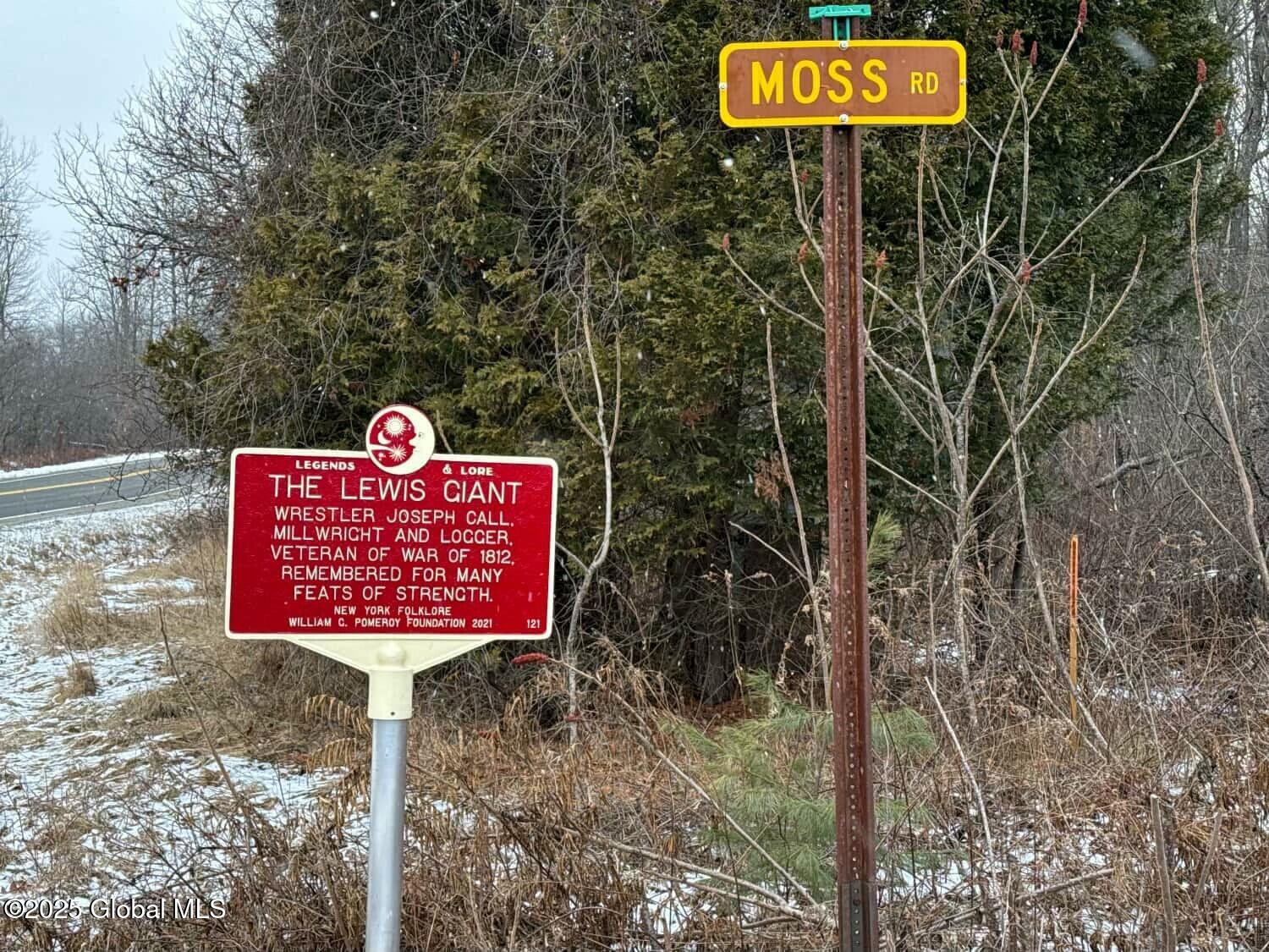 L37.100 Moss Road Lewis, NY 12950 - Photo 3 of 3 Moss Road