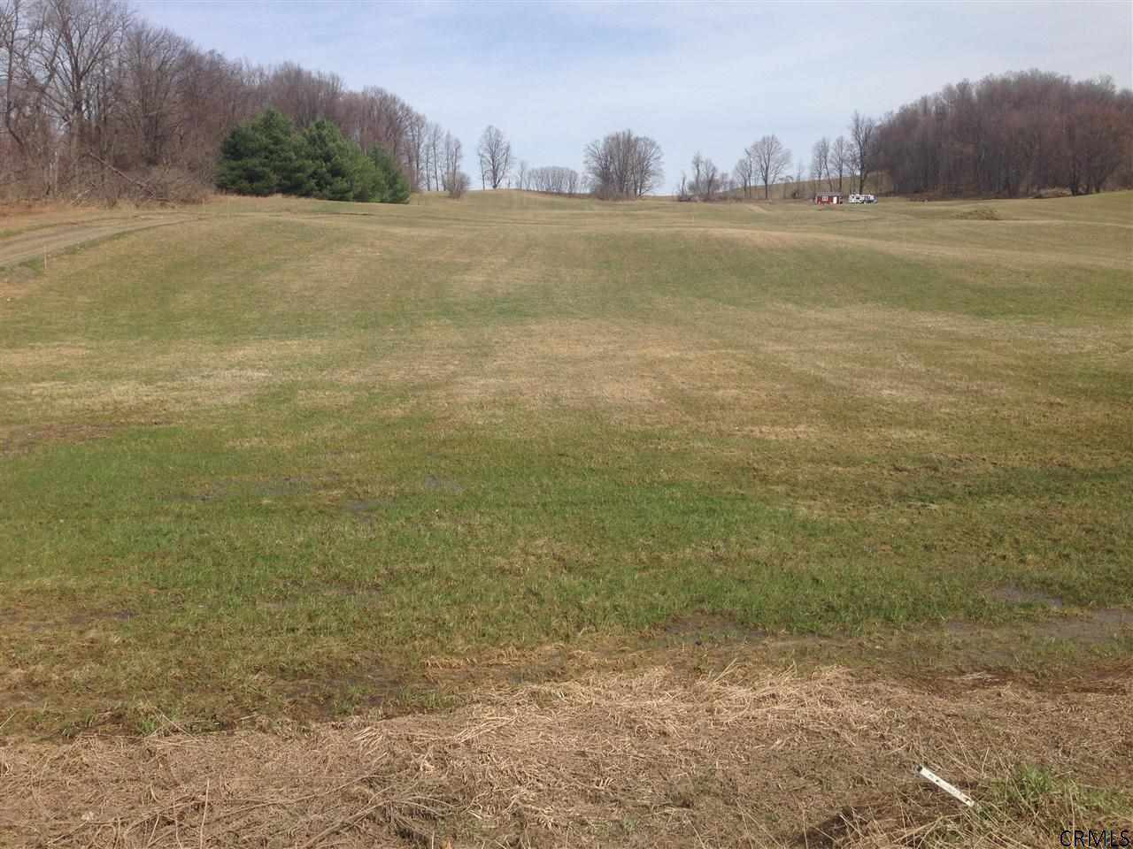 0 Edie Road Greenwich, NY 12834 - Photo 3 of 4 Photo 3