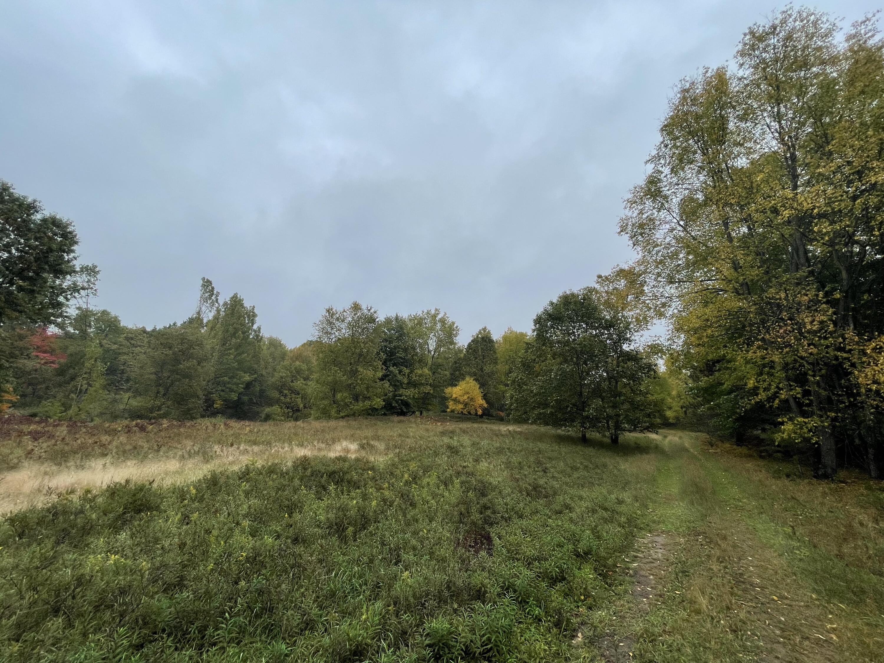 8903 Northwest County Line Road Barryton, MI 49305 - Photo 54 of 62 55