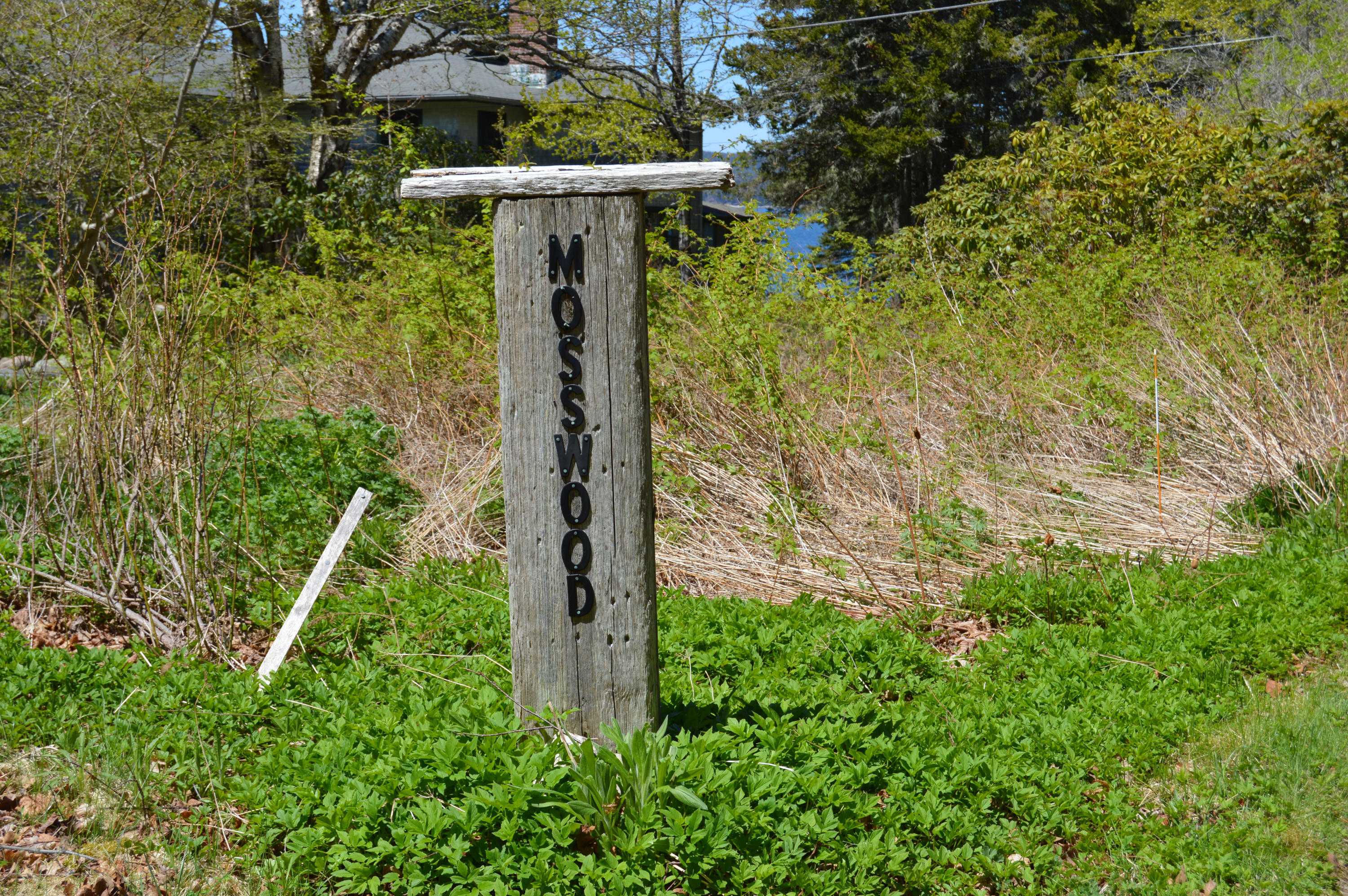 56 Mosswood Road Cranberry Isles, ME 04646 - Photo 37 of 40 Mosswoodsign