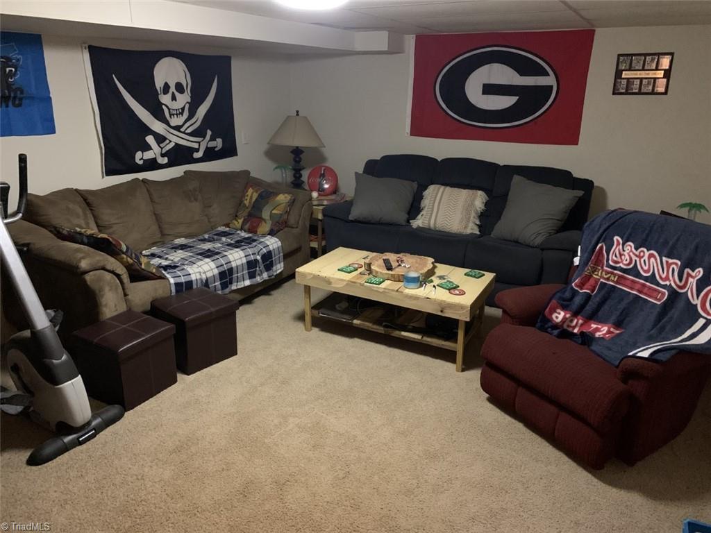 3795 Quaker Church Road Pinnacle, NC 27043 - Photo 13 of 19 Basement den *no heat*