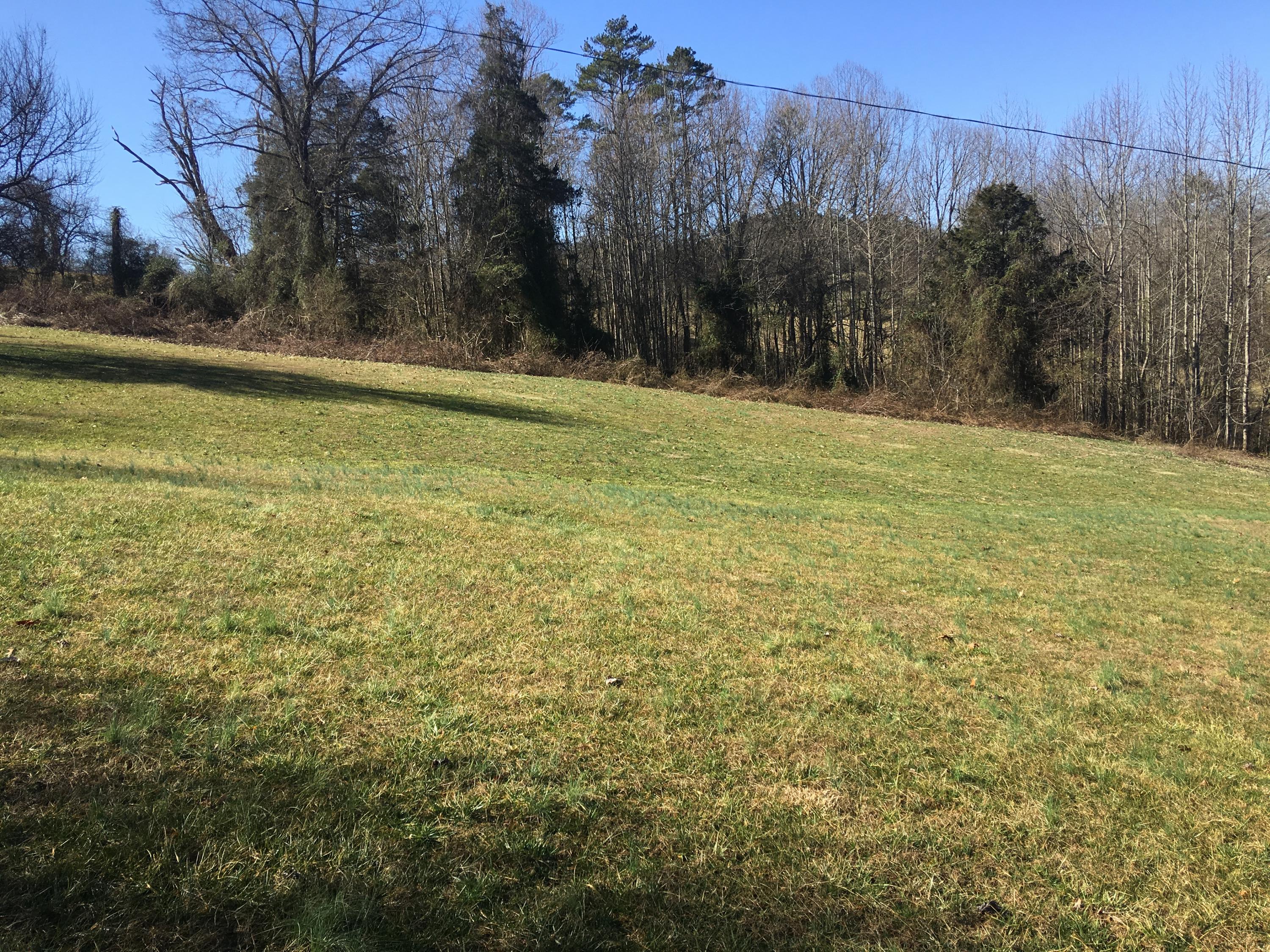 173 Freeman Road Tazewell, TN 37879 - Photo 11 of 30 42BB6E45-5702-4EED-A8D1-9F4DA693A8F1
