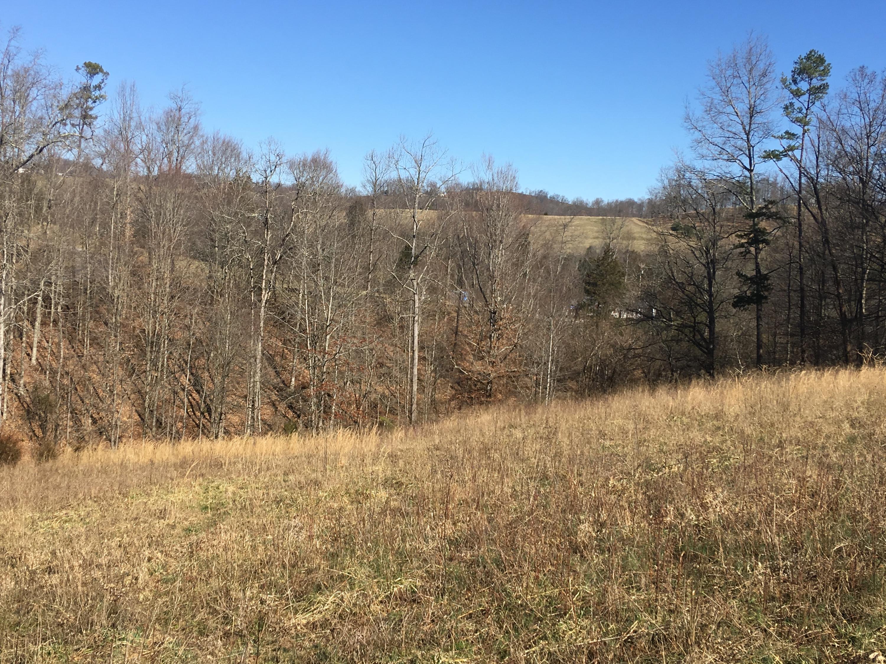 173 Freeman Road Tazewell, TN 37879 - Photo 7 of 30 4AE3E6E5-F3F6-4D03-8458-D0EDCE6F1A6B