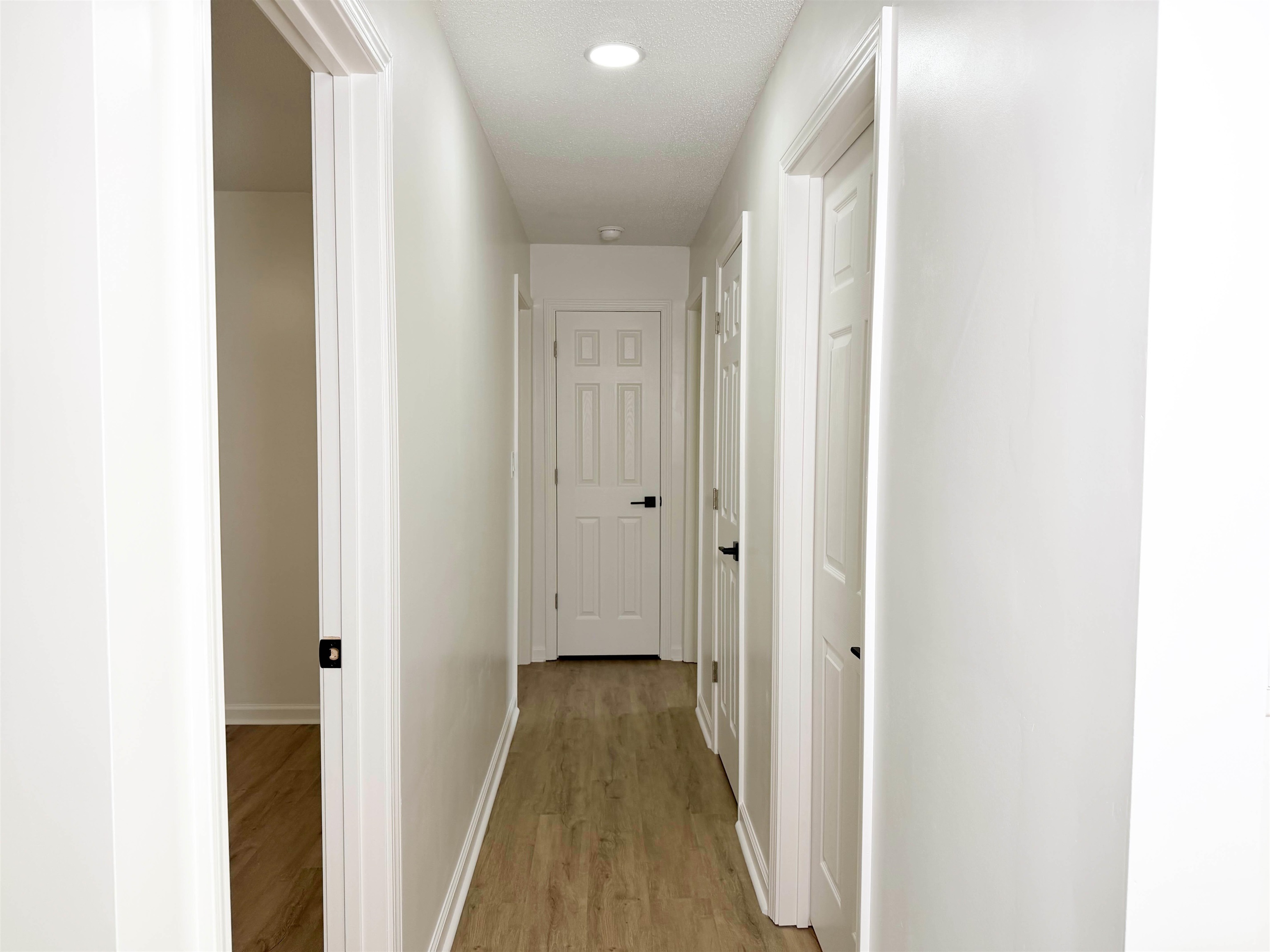 116 Hickory Hill Drive Inman, SC 29349 - Photo 10 of 29