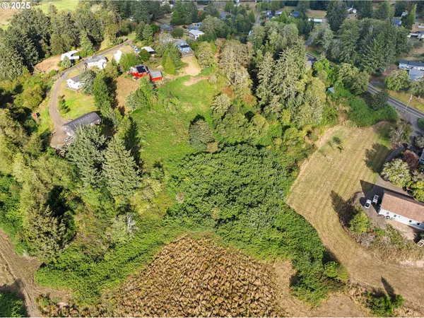 a view of a yard with plants