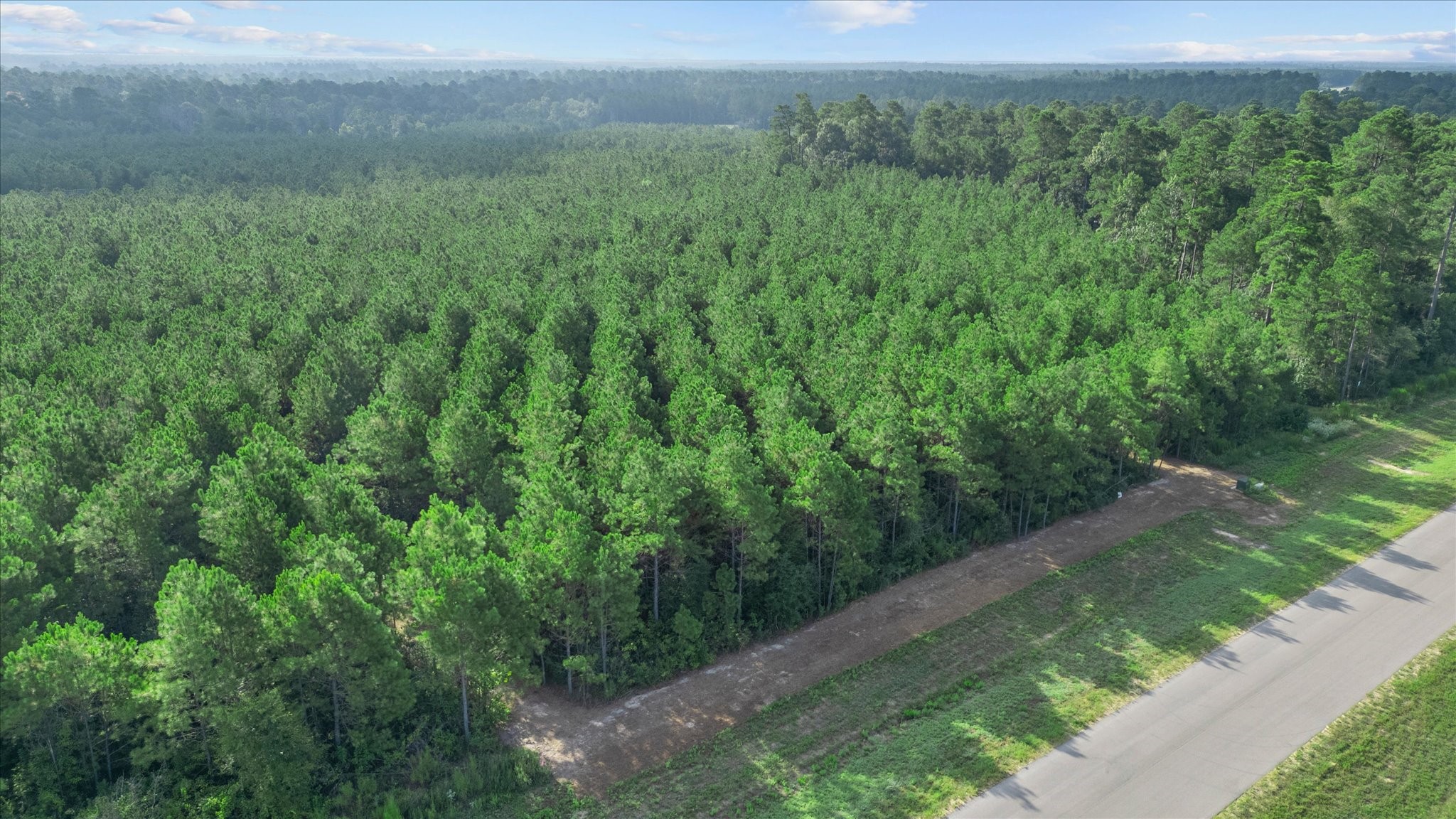 16230 Ridge Oak Road Willis, TX 77378 - Photo 13 of 23 This vast, undeveloped parcel serves as an ideal canvas for your custom home project, boasting easy street access and a desirable, shovel-ready setting.