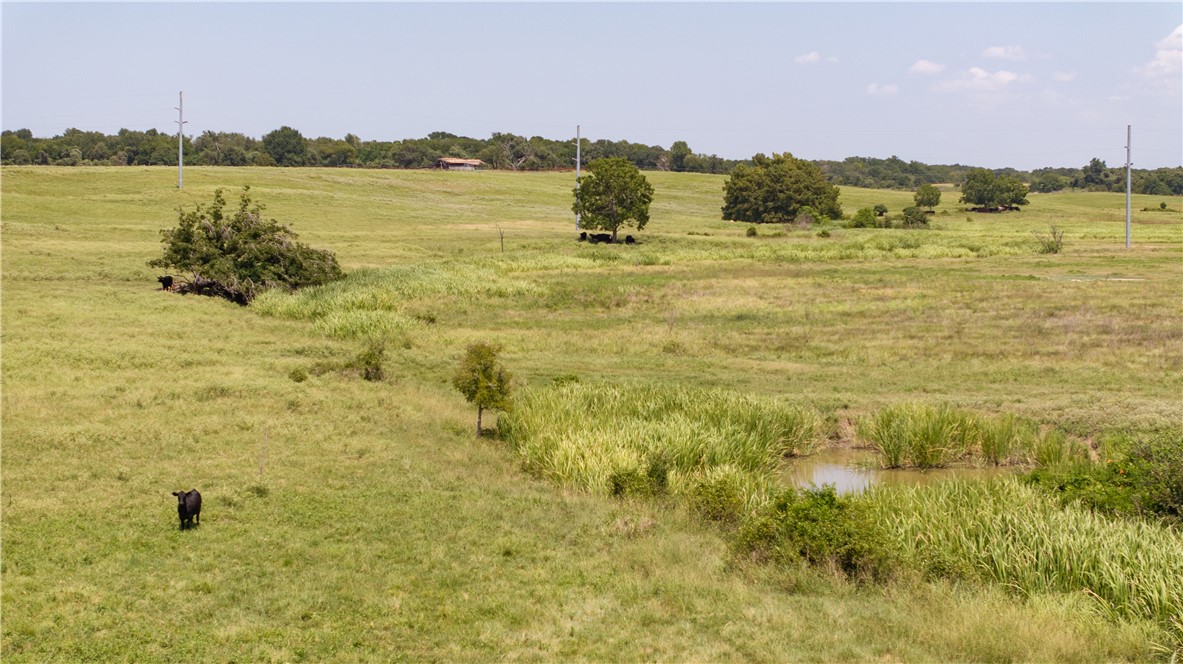 6 Calvert Tx 77837 Calvert, TX 77837 - Photo 6 of 15 View of undeveloped land with rural landscape