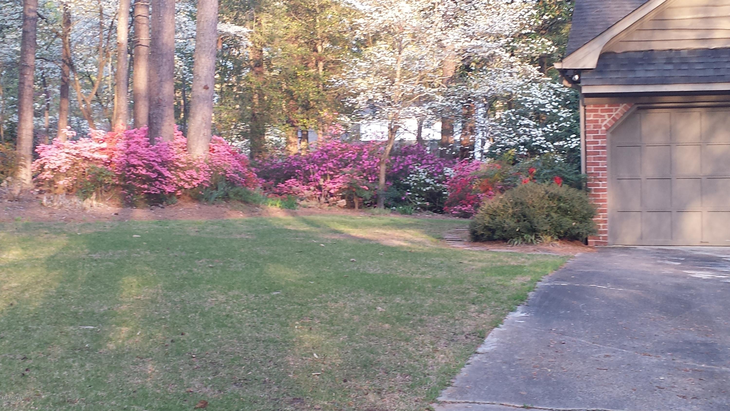1175 Ridge Road Williamston, NC 27892 - Photo 61 of 65 20170404_185719 azaleas side-back yard