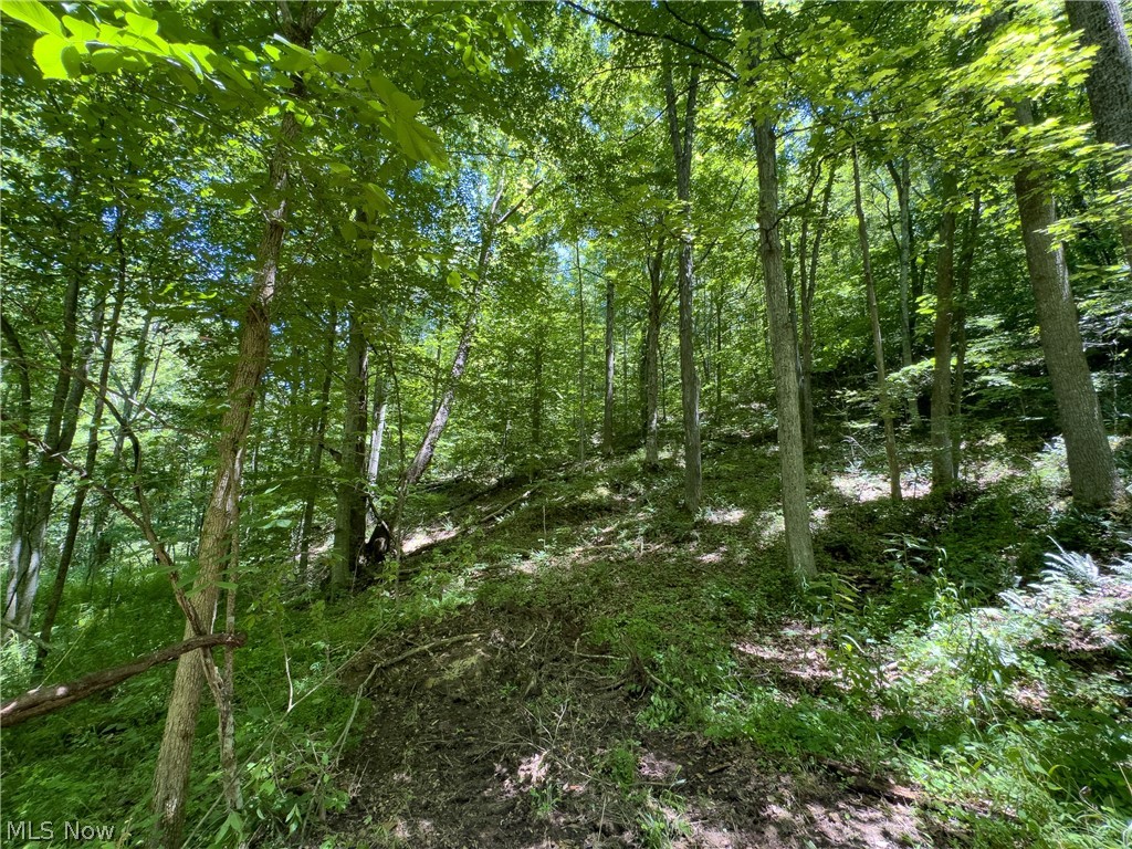 0 Long Hollow Road Pomeroy, OH 45769 - Photo 4 of 31