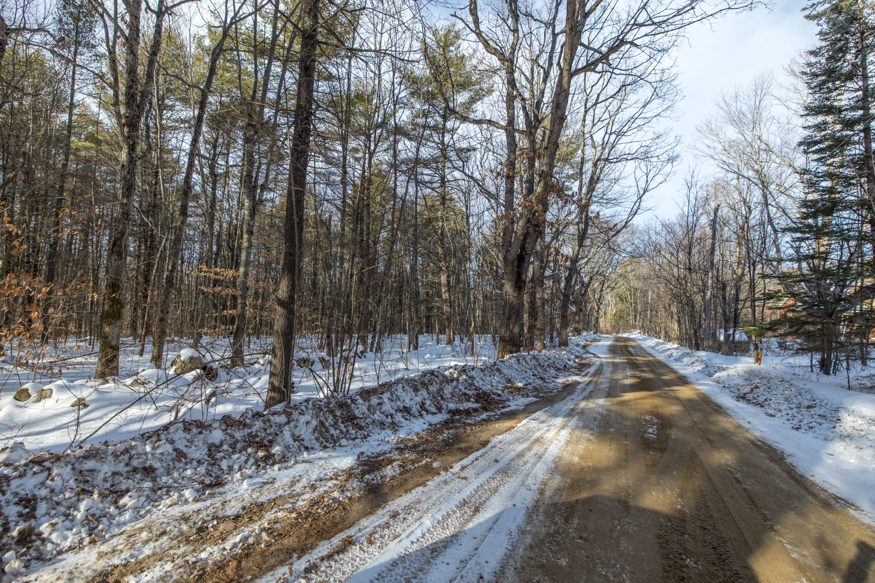 Lot 0 Mccann Road Poland, ME 04274 - Photo 6 of 14 6I3A8744