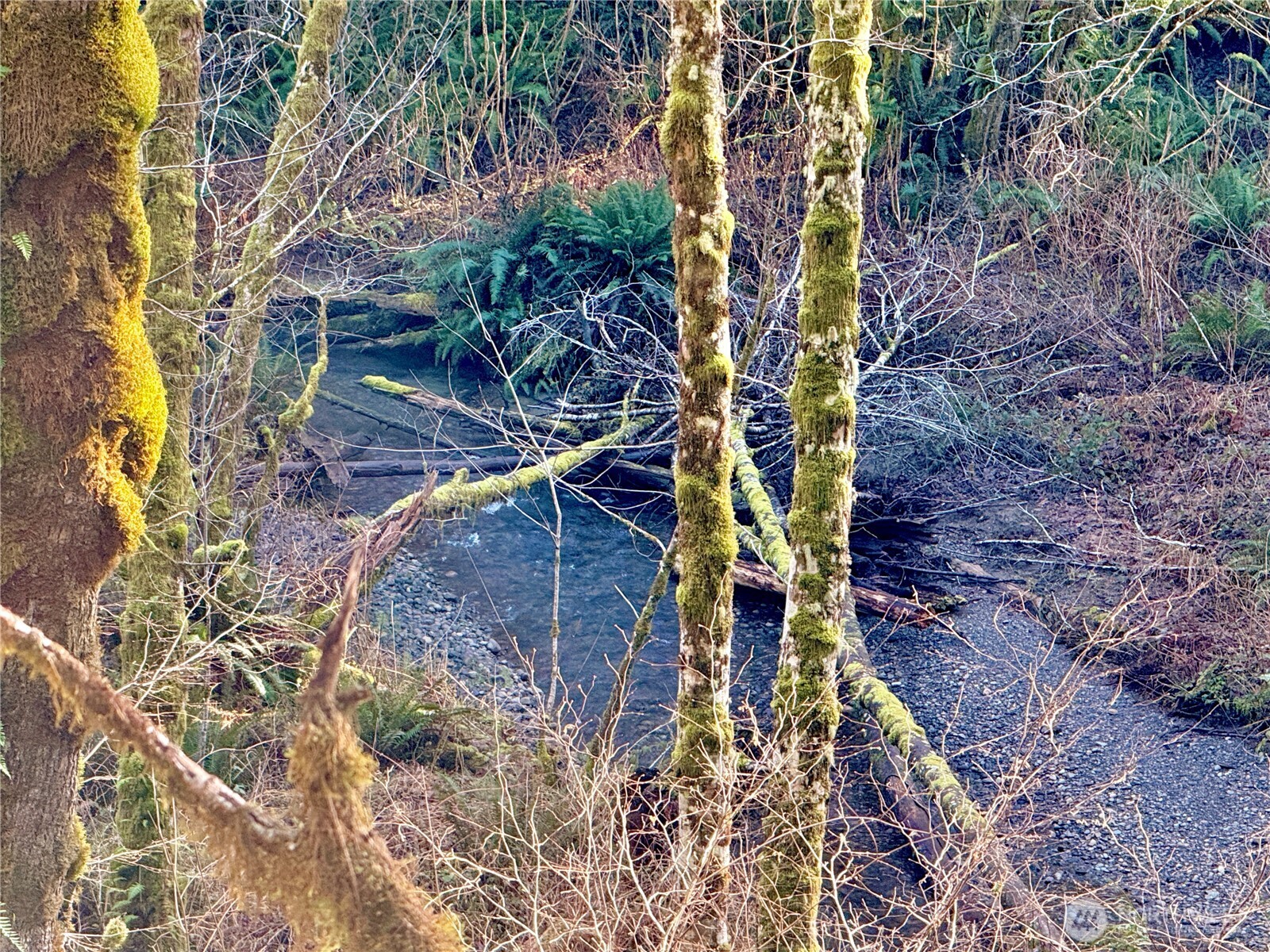 7035 Cedar Flats Road Southwest Olympia, WA 98512 - Photo 35 of 36 Gallery Image 35