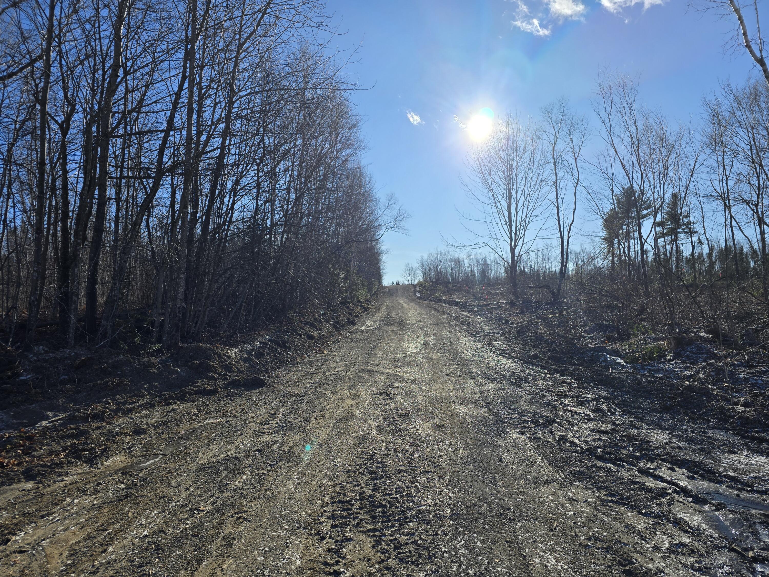 57-ac Sheepskin Road Carroll Plt, ME 04487 - Photo 8 of 9 20241213_121509