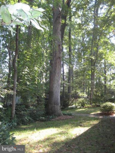 7141 Oak Ridge Road Falls Church, VA 22042 - Photo 23 of 24 Wooded View / Acreage