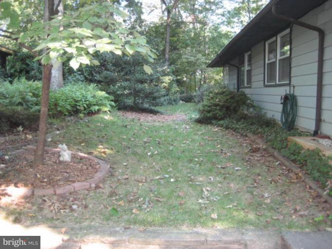 7141 Oak Ridge Road Falls Church, VA 22042 - Photo 24 of 24 Back yard