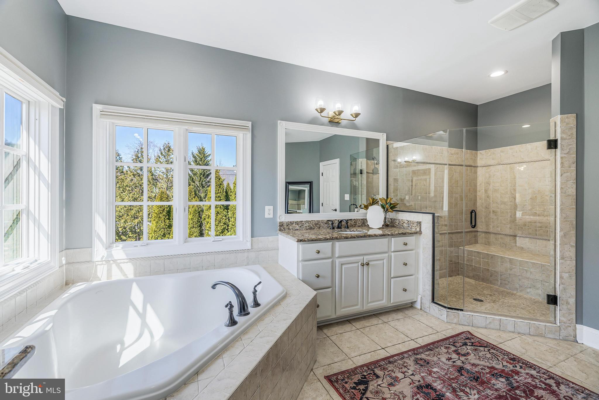 16319 Hunter Place Leesburg, VA 20176 - Photo 32 of 71 a bathroom with a granite countertop tub sink a window and shower