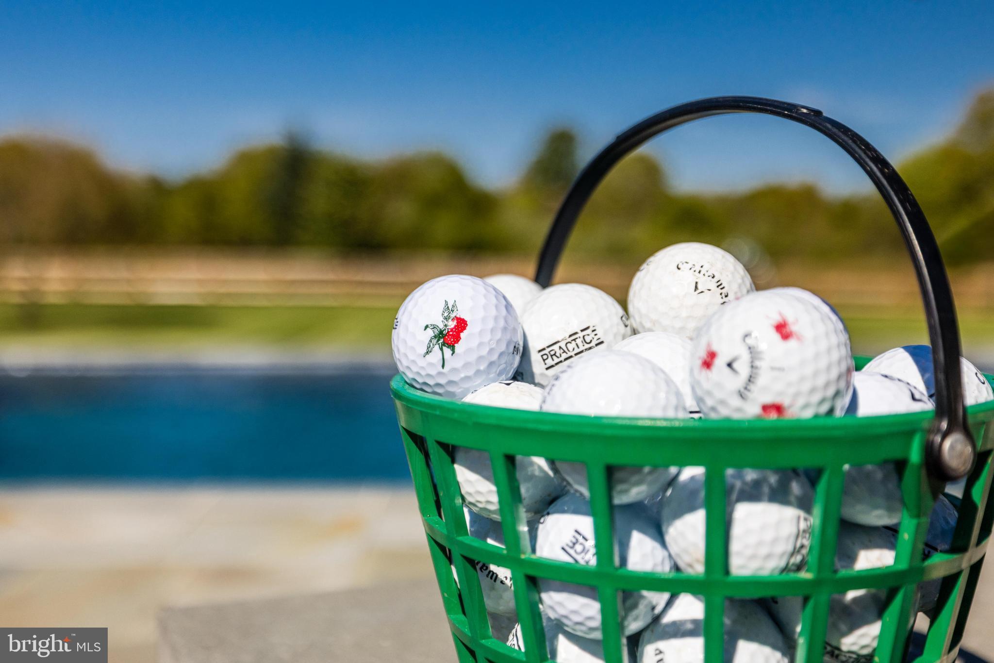 16319 Hunter Place Leesburg, VA 20176 - Photo 55 of 71 a view of swimming pool with a dining table and chairs in patio