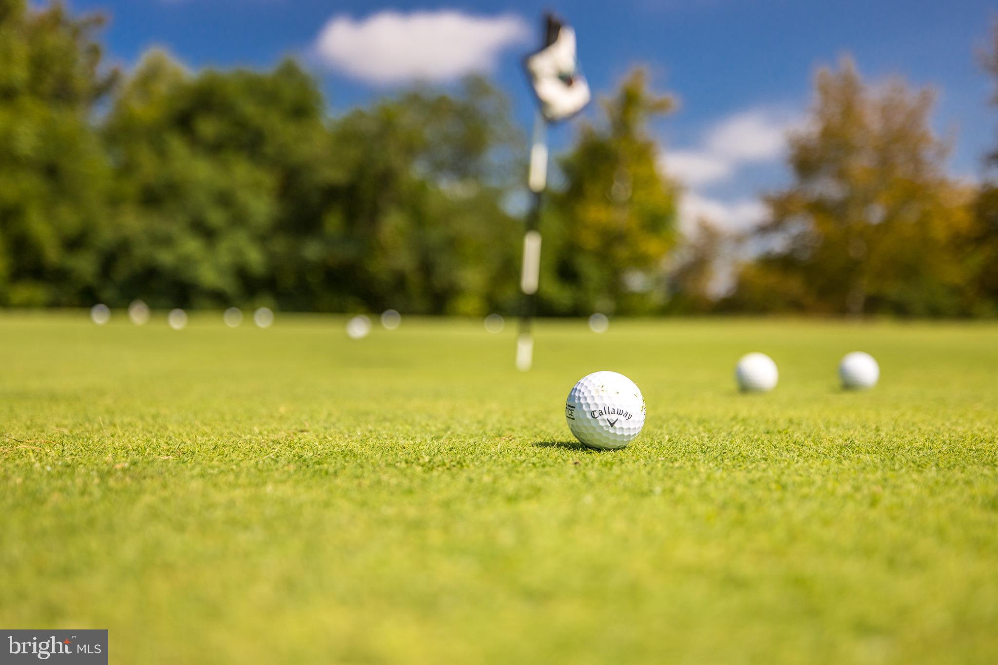 16319 Hunter Place Leesburg, VA 20176 - Photo 56 of 71