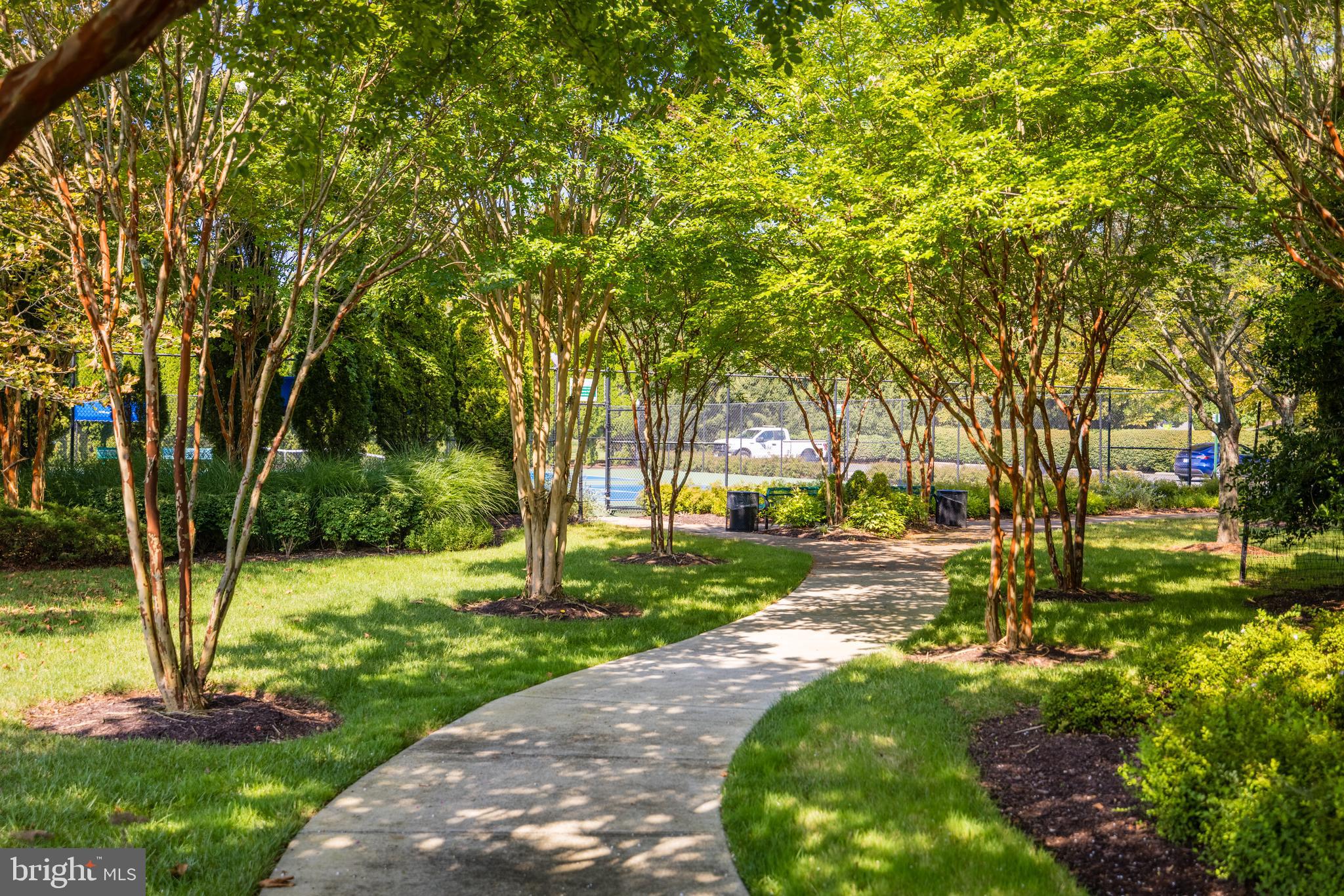 16319 Hunter Place Leesburg, VA 20176 - Photo 61 of 71 a view of a park with large trees