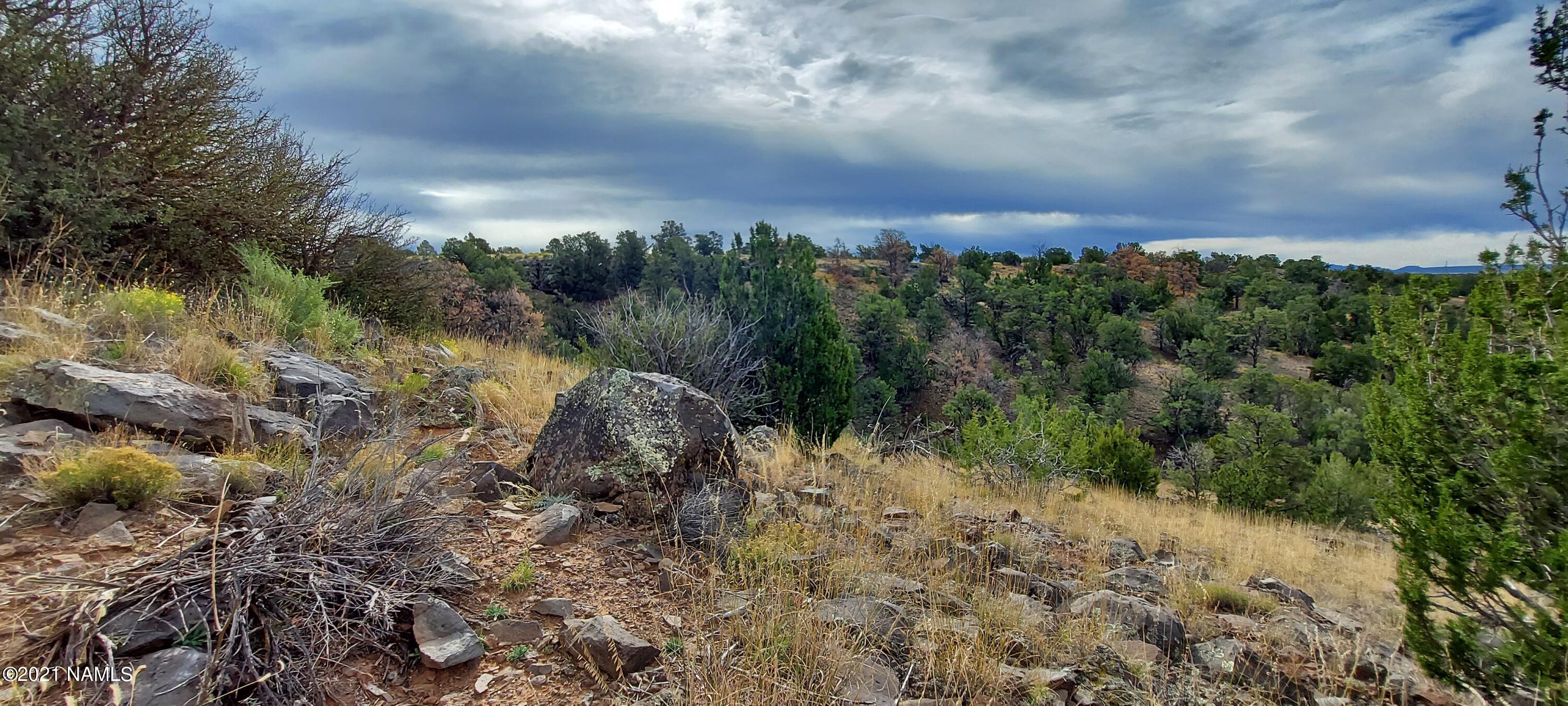 6707 North S Rim Ranch Road, Unit 255 Williams, AZ 86046 - Photo 4 of 63 20211102_100536