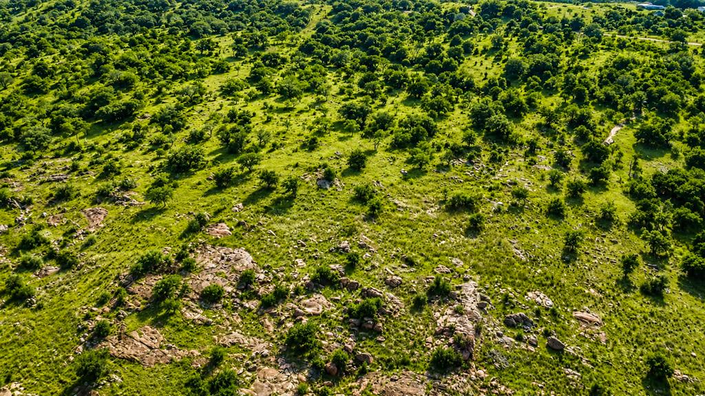 0 Fly Gap County Road Pontotoc, TX 76869 - Photo 4 of 14