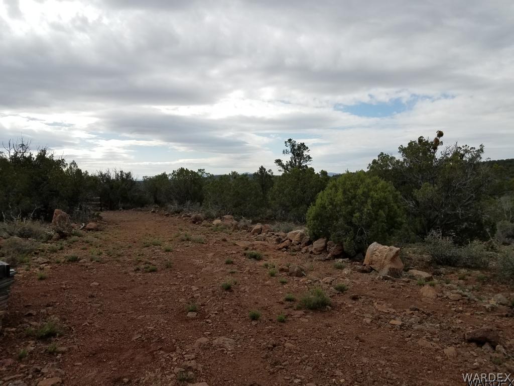 Lot 112 North Lookout Cyn Road Kingman, AZ 86401 - Photo 19 of 31