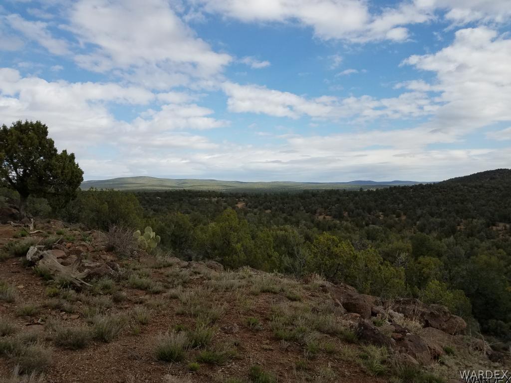 Lot 112 North Lookout Cyn Road Kingman, AZ 86401 - Photo 20 of 31
