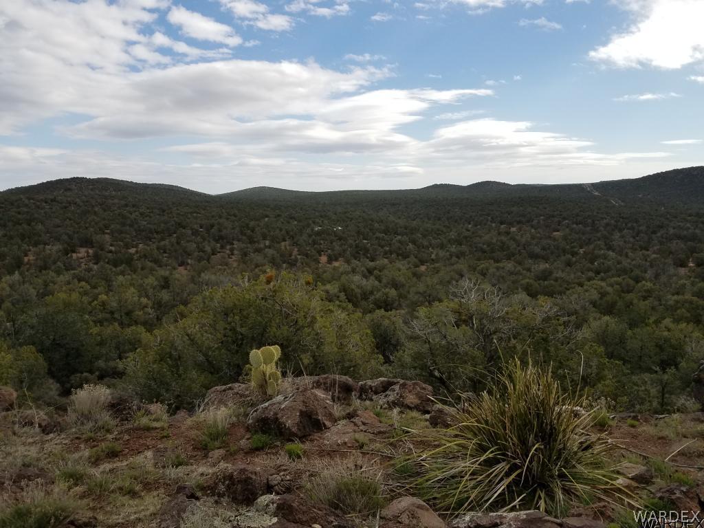 Lot 112 North Lookout Cyn Road Kingman, AZ 86401 - Photo 21 of 31