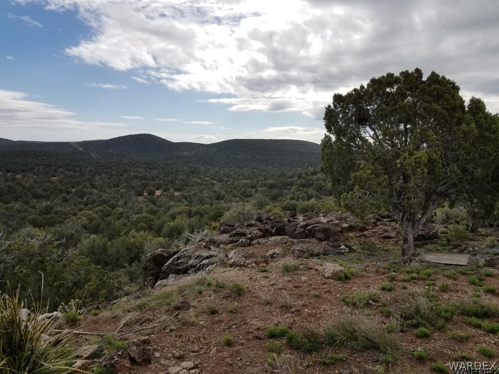 Lot 112 North Lookout Cyn Road Kingman, AZ 86401 - Photo 22 of 31