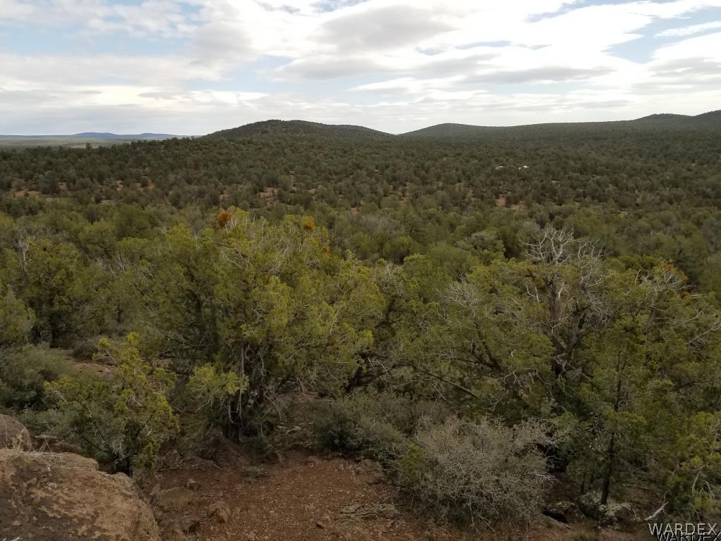 Lot 112 North Lookout Cyn Road Kingman, AZ 86401 - Photo 24 of 31