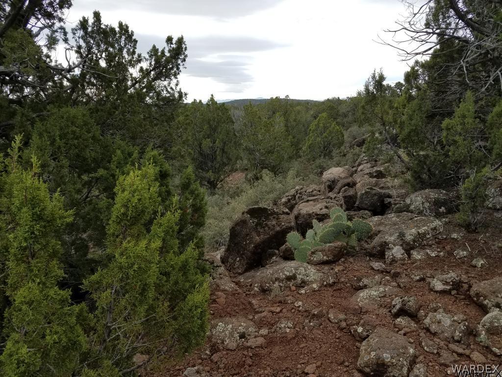 Lot 112 North Lookout Cyn Road Kingman, AZ 86401 - Photo 25 of 31