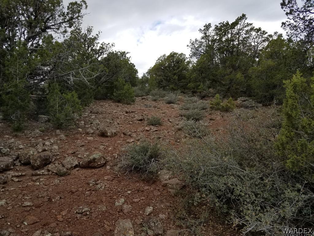 Lot 112 North Lookout Cyn Road Kingman, AZ 86401 - Photo 26 of 31