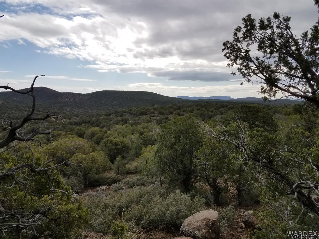 Lot 112 North Lookout Cyn Road Kingman, AZ 86401 - Photo 27 of 31
