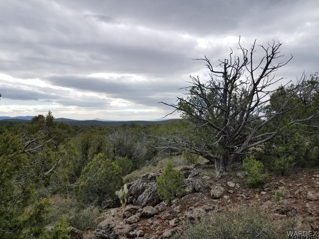 Lot 112 North Lookout Cyn Road Kingman, AZ 86401 - Photo 28 of 31