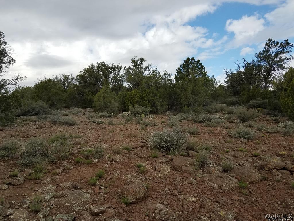 Lot 112 North Lookout Cyn Road Kingman, AZ 86401 - Photo 29 of 31
