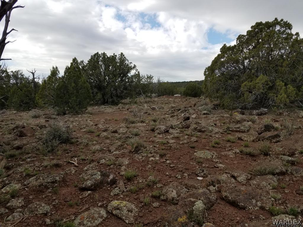 Lot 112 North Lookout Cyn Road Kingman, AZ 86401 - Photo 30 of 31
