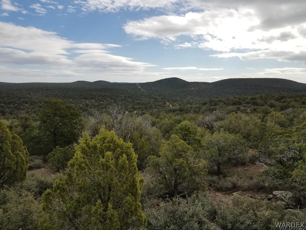 Lot 112 North Lookout Cyn Road Kingman, AZ 86401 - Photo 31 of 31