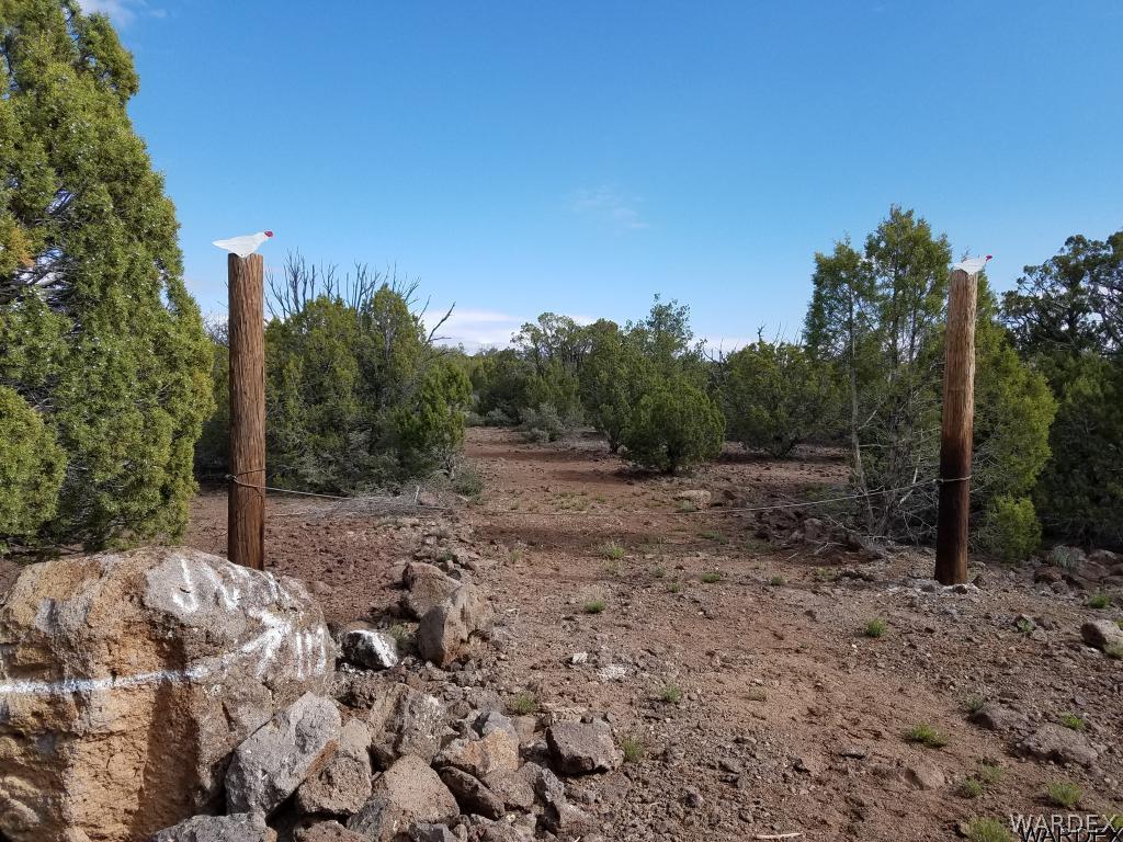 Lot 112 North Lookout Cyn Road Kingman, AZ 86401 - Photo 5 of 31