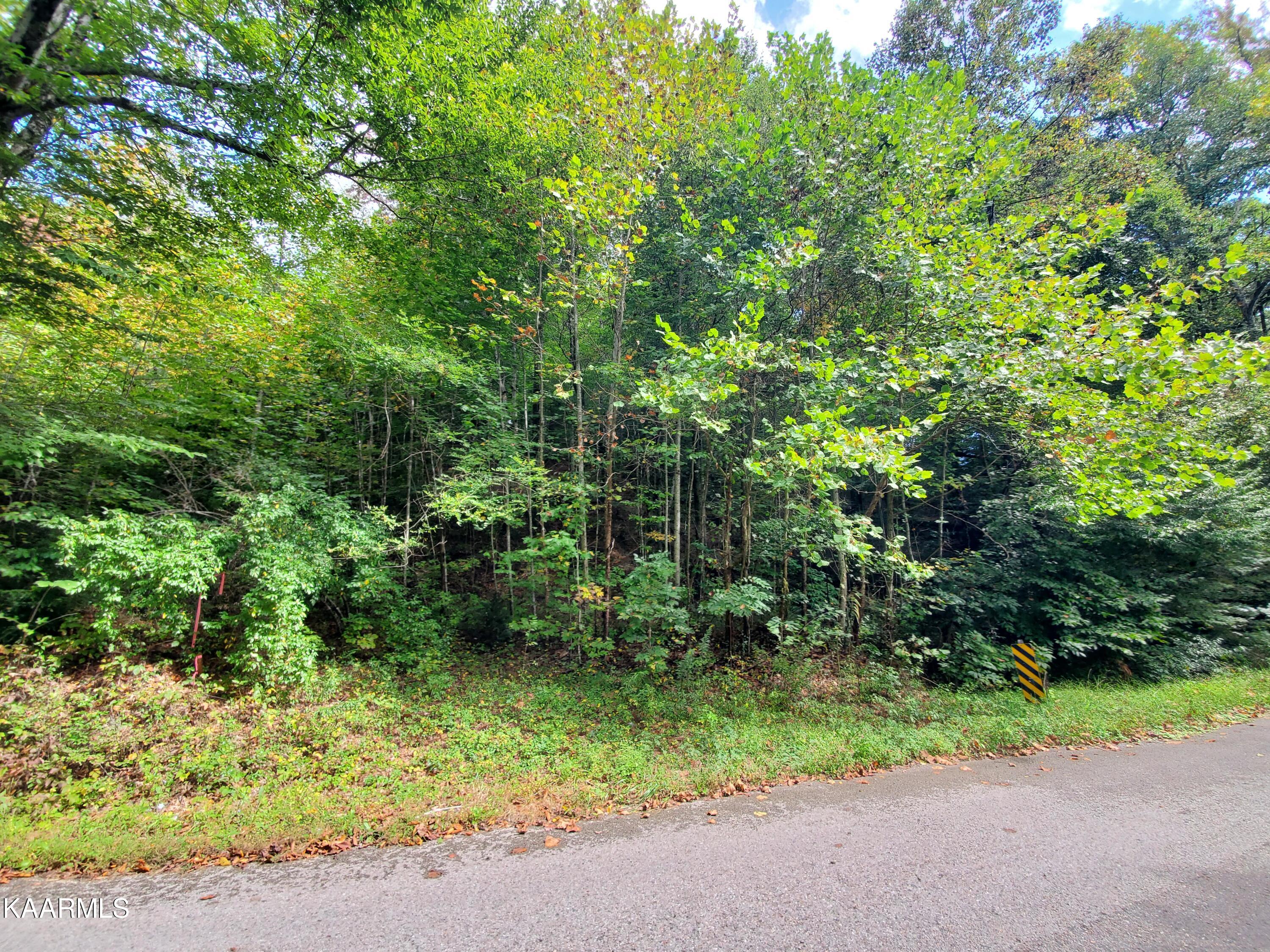 600 Possum Valley Road Dryden, VA 24243 - Photo 1 of 8 20211004_125725